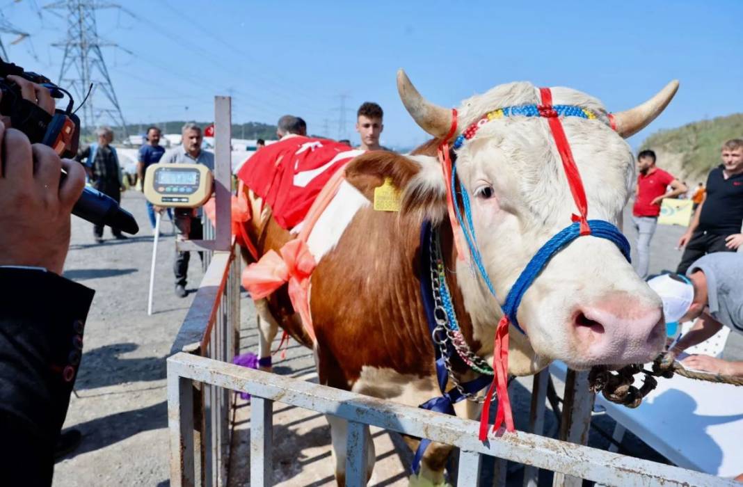 Kurban ibadetiyle ilgili doğru bilinen yanlışlar 8